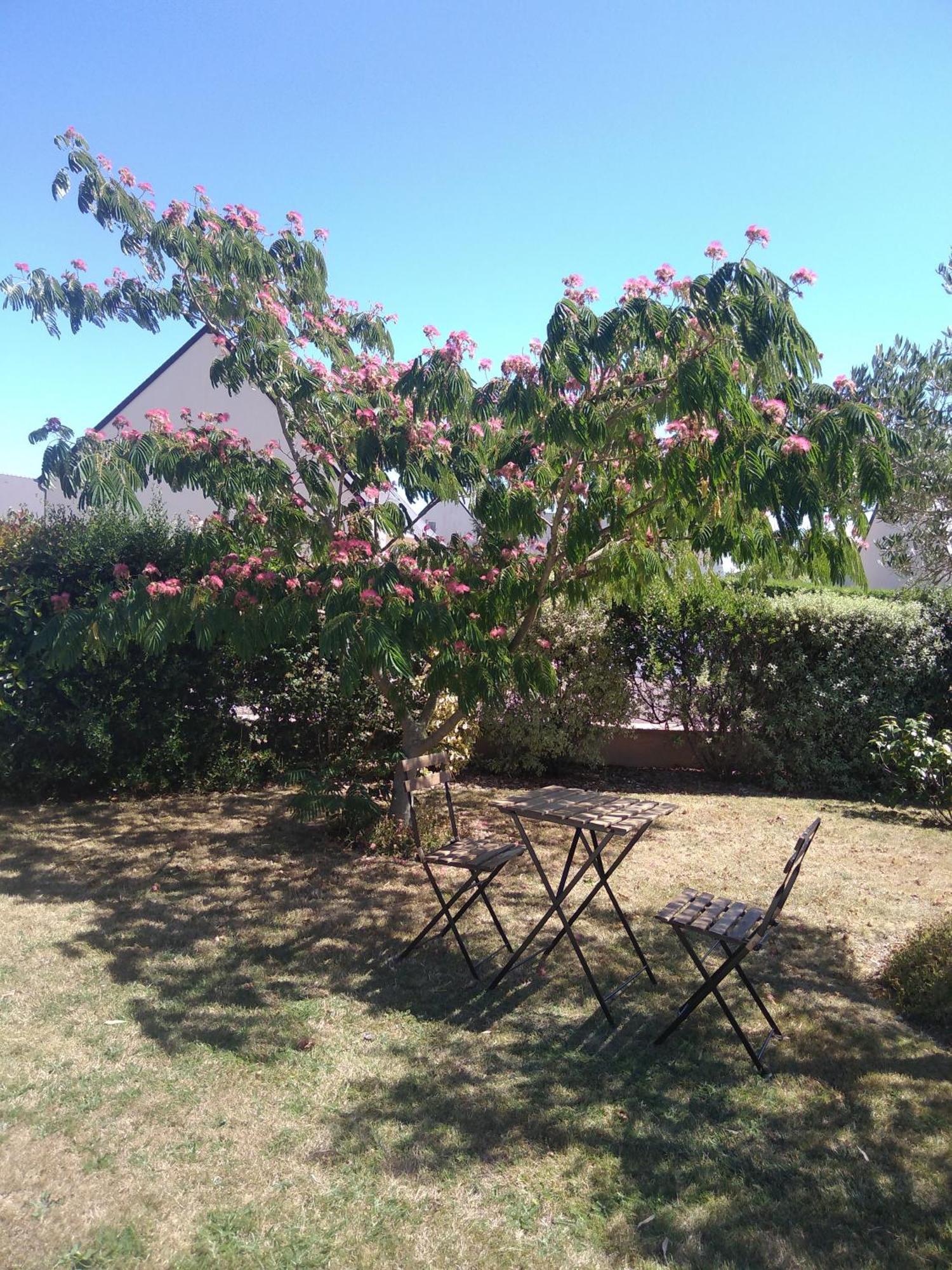 Chambre Agreable Au Calme Saint-Hilaire-Petitville المظهر الخارجي الصورة